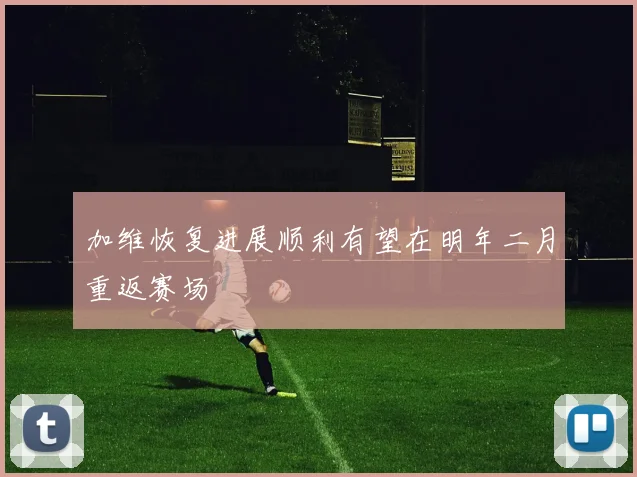 加维恢复进展顺利有望在明年二月重返赛场