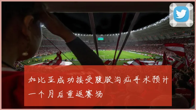 加比亚成功接受腹股沟疝手术预计一个月后重返赛场