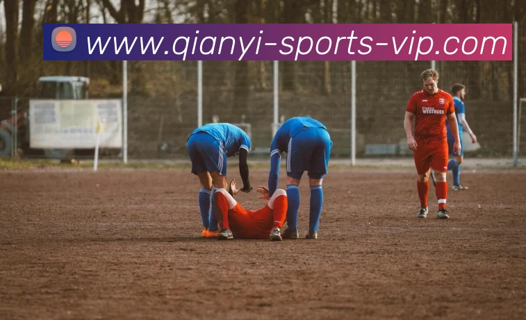 千亿体育平台生态图